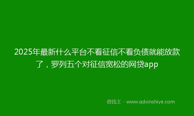 2025年最新什么平台不看征信不看负债就能放款了，罗列五个对征信宽松的网贷app