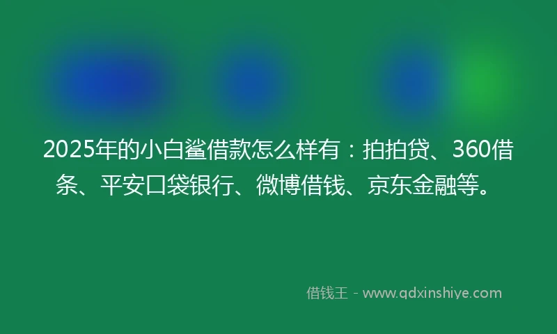 2025年的小白鲨借款怎么样有：拍拍贷、360借条、平安口袋银行、微博借钱、京东金融等。