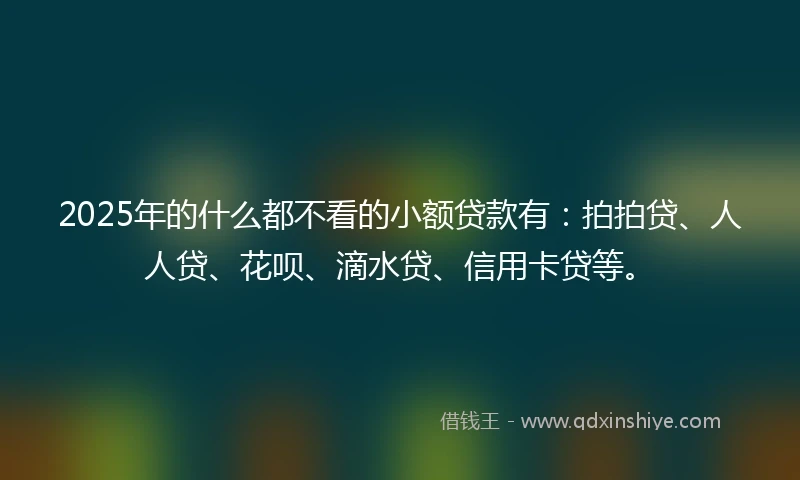 2025年的什么都不看的小额贷款有：拍拍贷、人人贷、花呗、滴水贷、信用卡贷等。