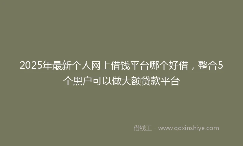 2025年最新个人网上借钱平台哪个好借，整合5个黑户可以做大额贷款平台