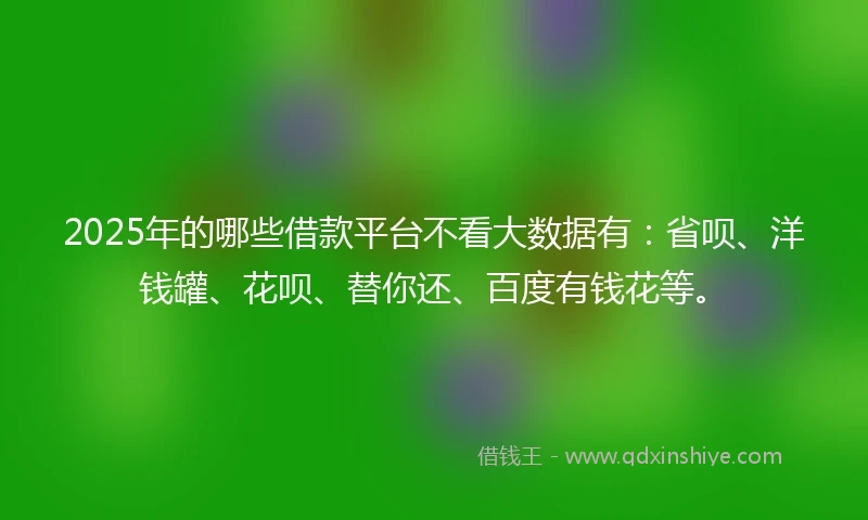 2025年的哪些借款平台不看大数据有：省呗、洋钱罐、花呗、替你还、百度有钱花等。
