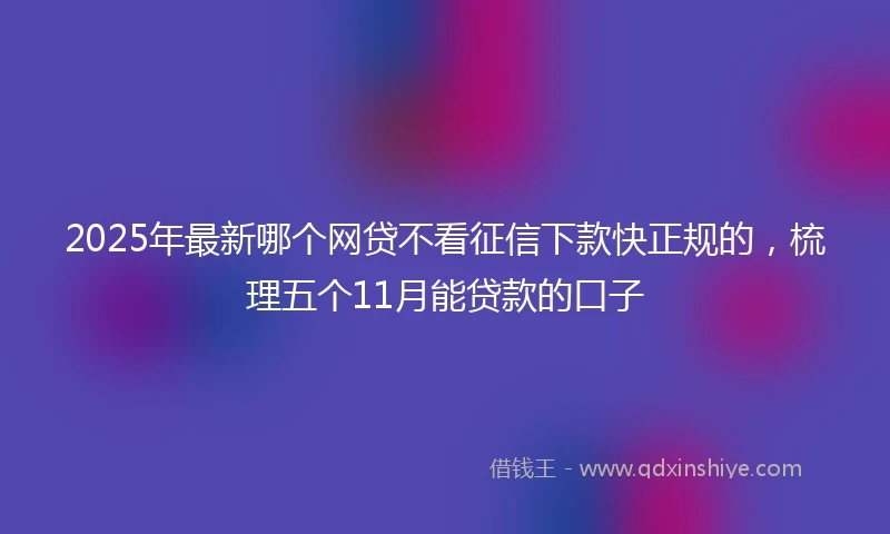 2025年最新哪个网贷不看征信下款快正规的，梳理五个11月能贷款的口子