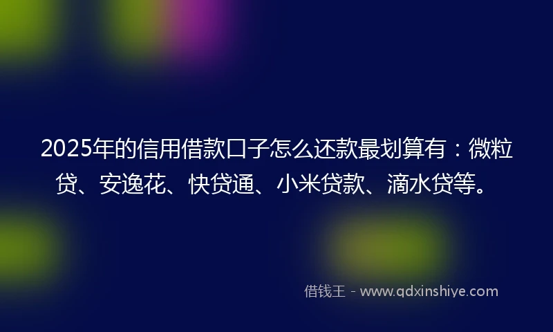 2025年的信用借款口子怎么还款最划算有：微粒贷、安逸花、快贷通、小米贷款、滴水贷等。