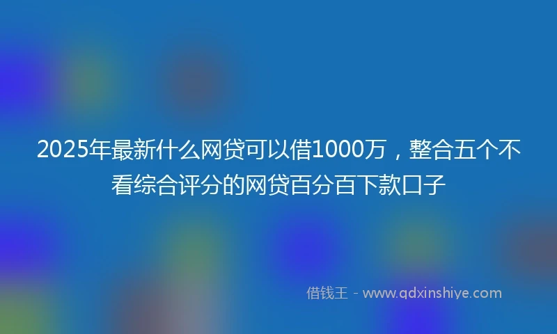 2025年最新什么网贷可以借1000万，整合五个不看综合评分的网贷百分百下款口子