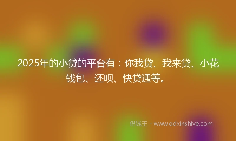 2025年的小贷的平台有：你我贷、我来贷、小花钱包、还呗、快贷通等。