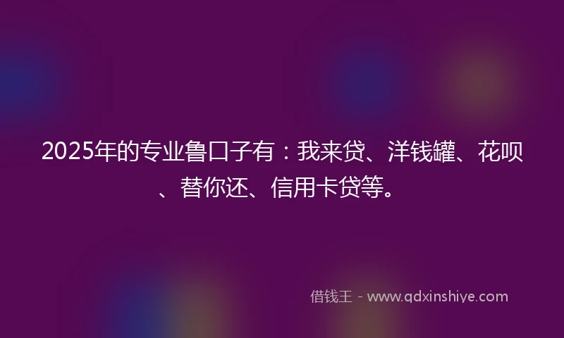 2025年的专业鲁口子有：我来贷、洋钱罐、花呗、替你还、信用卡贷等。