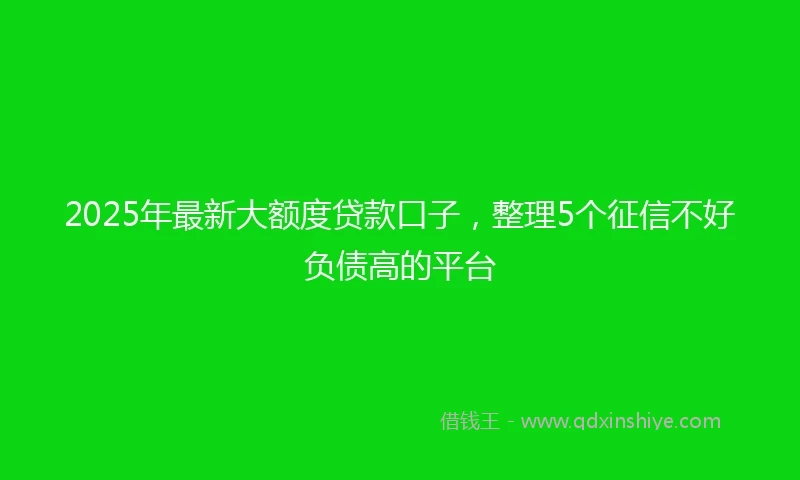 2025年最新大额度贷款口子，整理5个征信不好负债高的平台