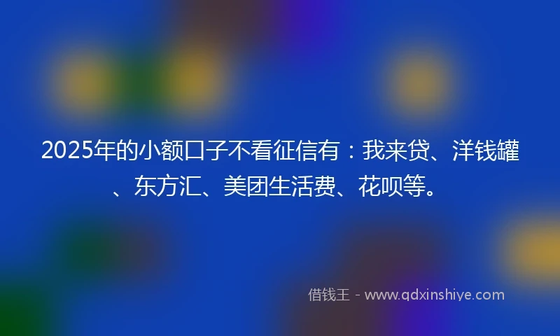 2025年的小额口子不看征信有：我来贷、洋钱罐、东方汇、美团生活费、花呗等。