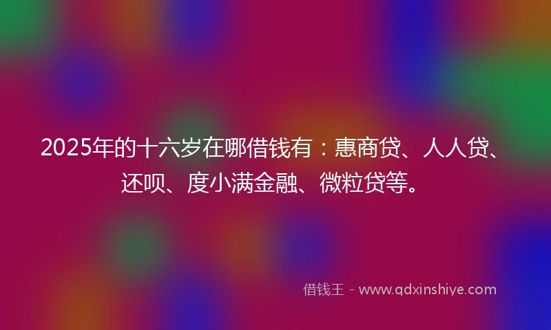 2025年的十六岁在哪借钱有：惠商贷、人人贷、还呗、度小满金融、微粒贷等。