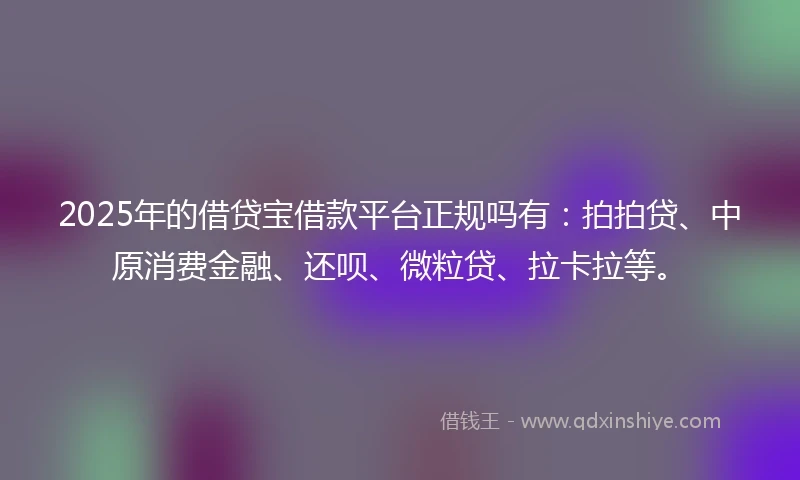 2025年的借贷宝借款平台正规吗有：拍拍贷、中原消费金融、还呗、微粒贷、拉卡拉等。