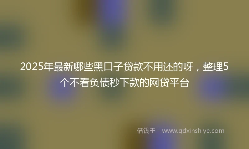 2025年最新哪些黑口子贷款不用还的呀，整理5个不看负债秒下款的网贷平台