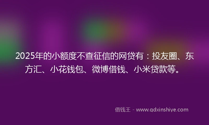 2025年的小额度不查征信的网贷有：投友圈、东方汇、小花钱包、微博借钱、小米贷款等。