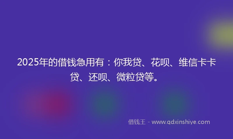 2025年的借钱急用有：你我贷、花呗、维信卡卡贷、还呗、微粒贷等。