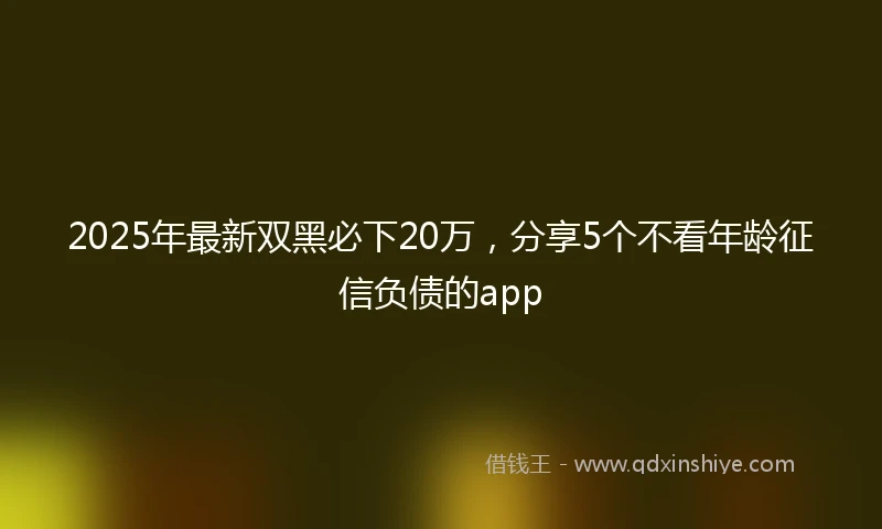 2025年最新双黑必下20万，分享5个不看年龄征信负债的app