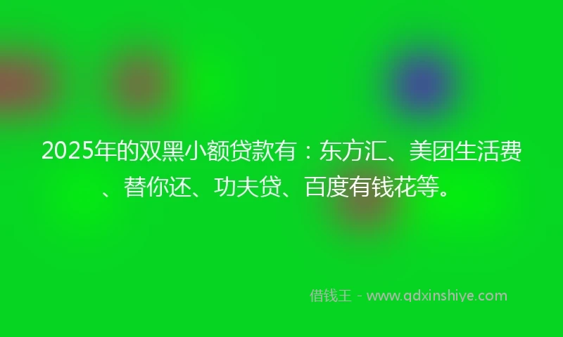 2025年的双黑小额贷款有：东方汇、美团生活费、替你还、功夫贷、百度有钱花等。