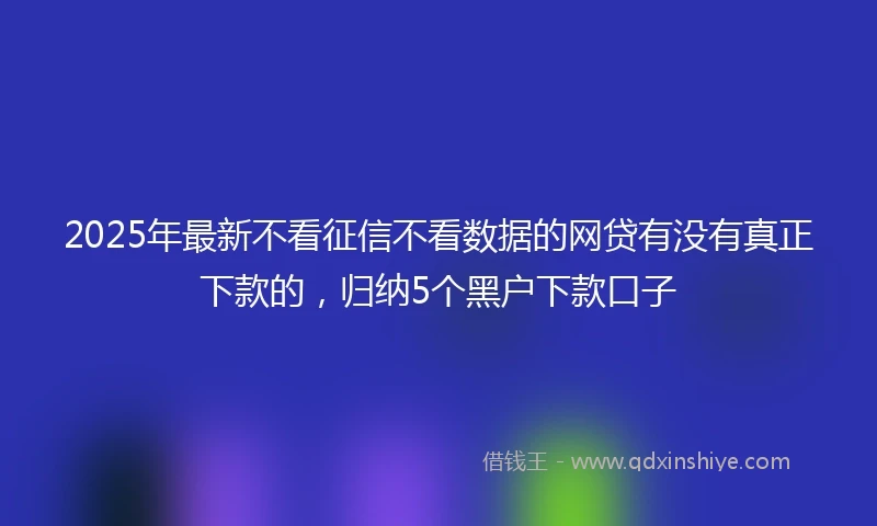 2025年最新不看征信不看数据的网贷有没有真正下款的，归纳5个黑户下款口子