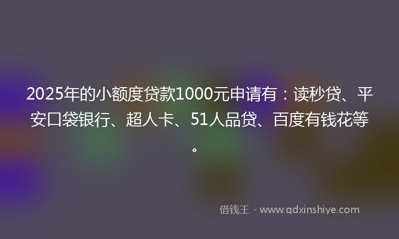 2025年的小额度贷款1000元申请有：读秒贷、平安口袋银行、超人卡、51人品贷、百度有钱花等。