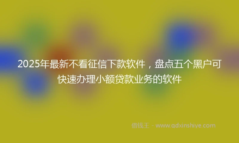 2025年最新不看征信下款软件，盘点五个黑户可快速办理小额贷款业务的软件