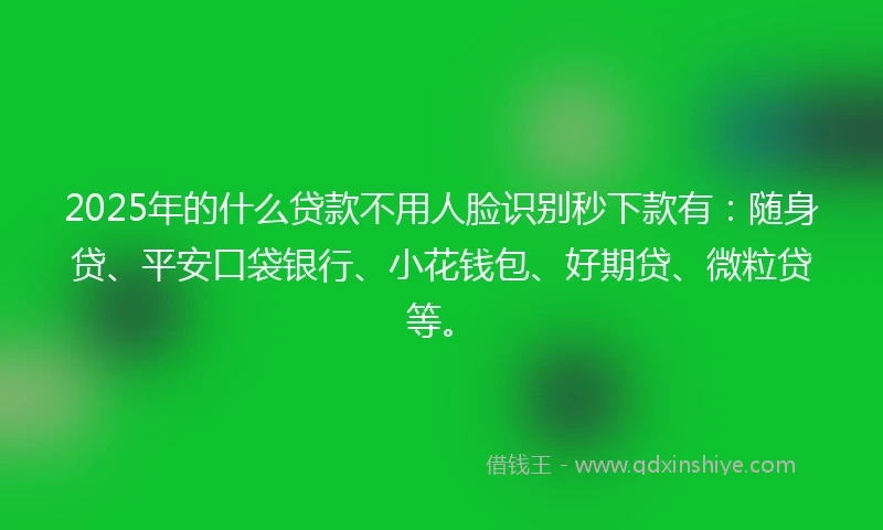 2025年的什么贷款不用人脸识别秒下款有：随身贷、平安口袋银行、小花钱包、好期贷、微粒贷等。