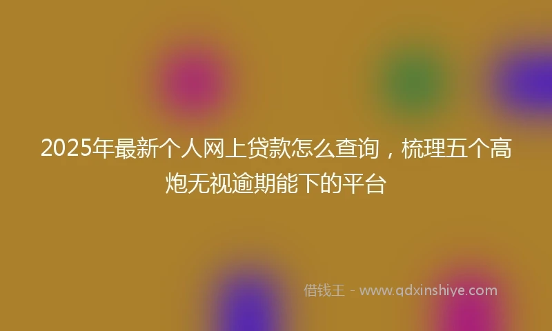 2025年最新个人网上贷款怎么查询，梳理五个高炮无视逾期能下的平台
