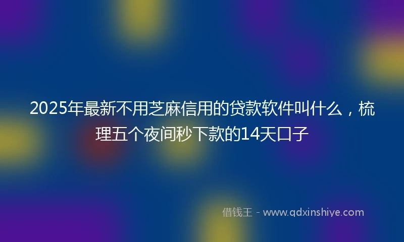 2025年最新不用芝麻信用的贷款软件叫什么，梳理五个夜间秒下款的14天口子
