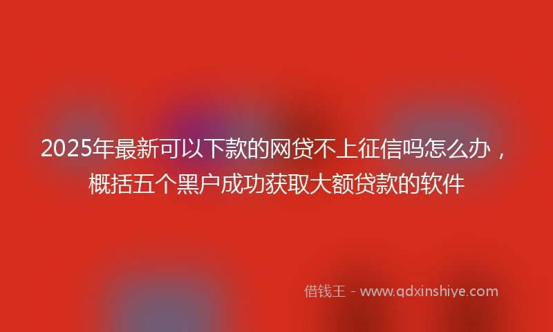 2025年最新可以下款的网贷不上征信吗怎么办，概括五个黑户成功获取大额贷款的软件
