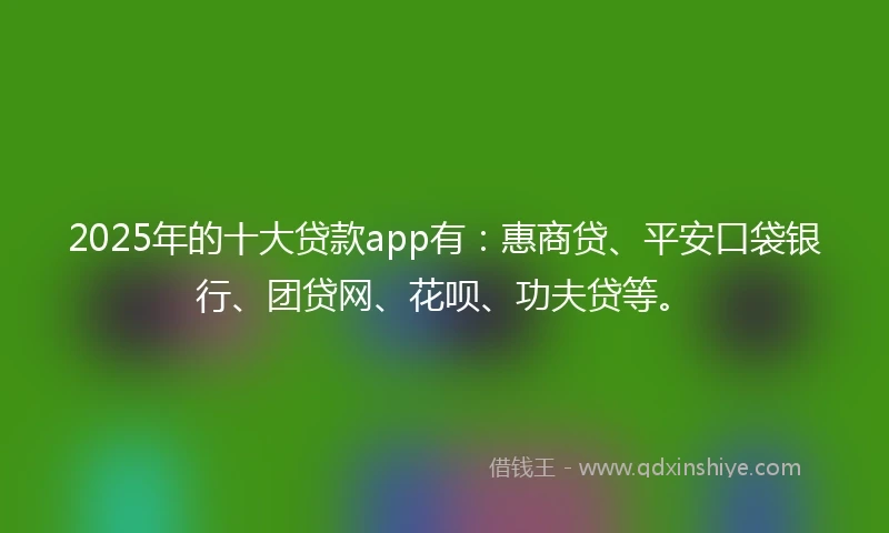 2025年的十大贷款app有：惠商贷、平安口袋银行、团贷网、花呗、功夫贷等。