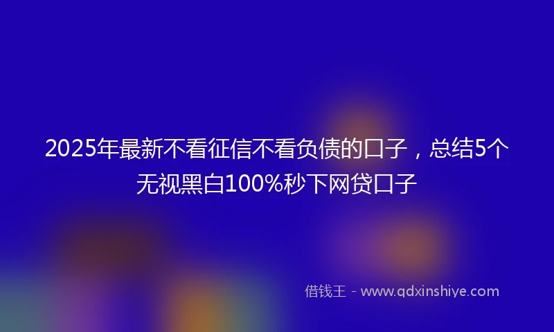 2025年最新不看征信不看负债的口子，总结5个无视黑白100%秒下网贷口子