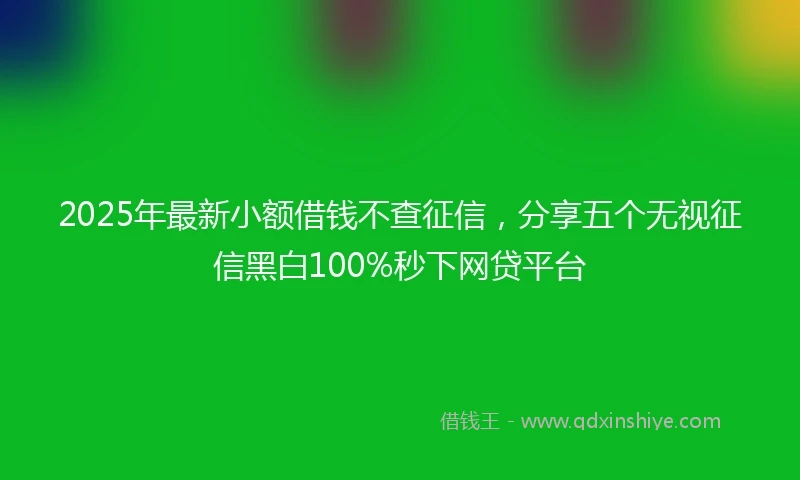 2025年最新小额借钱不查征信，分享五个无视征信黑白100%秒下网贷平台