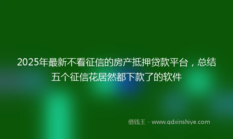 2025年最新不看征信的房产抵押贷款平台，总结五个征信花居然都下款了的软件