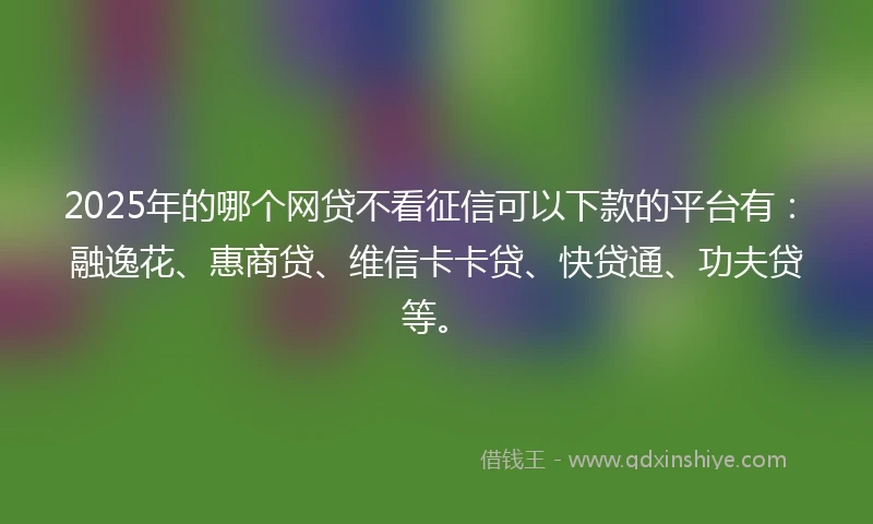 2025年的哪个网贷不看征信可以下款的平台有：融逸花、惠商贷、维信卡卡贷、快贷通、功夫贷等。