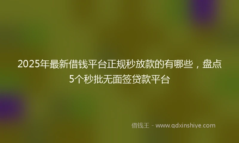 2025年最新借钱平台正规秒放款的有哪些，盘点5个秒批无面签贷款平台