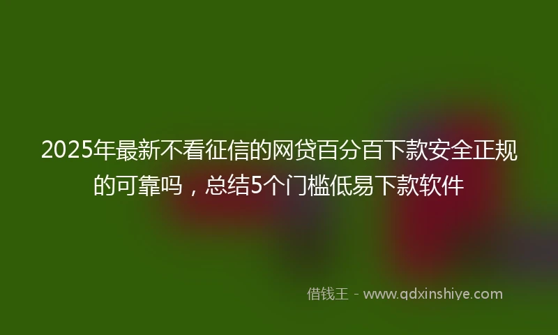 2025年最新不看征信的网贷百分百下款安全正规的可靠吗，总结5个门槛低易下款软件