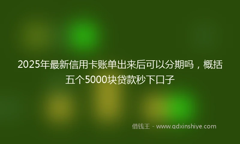 2025年最新信用卡账单出来后可以分期吗，概括五个5000块贷款秒下口子