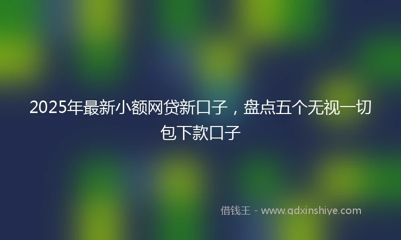 2025年最新小额网贷新口子，盘点五个无视一切包下款口子