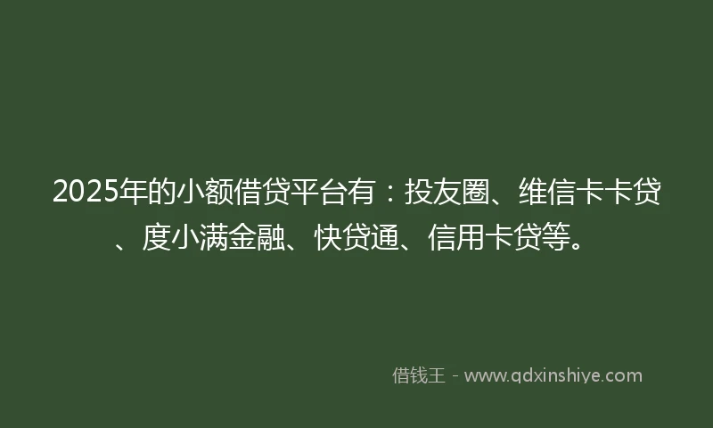 2025年的小额借贷平台有：投友圈、维信卡卡贷、度小满金融、快贷通、信用卡贷等。