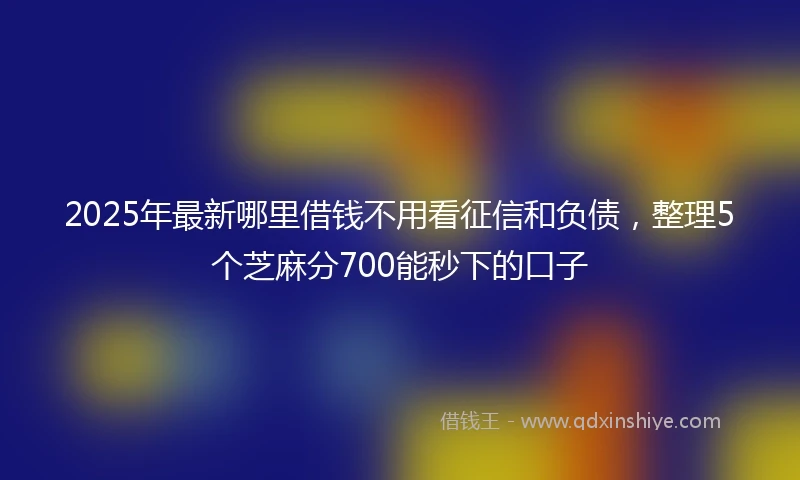2025年最新哪里借钱不用看征信和负债，整理5个芝麻分700能秒下的口子