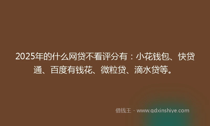 2025年的什么网贷不看评分有：小花钱包、快贷通、百度有钱花、微粒贷、滴水贷等。