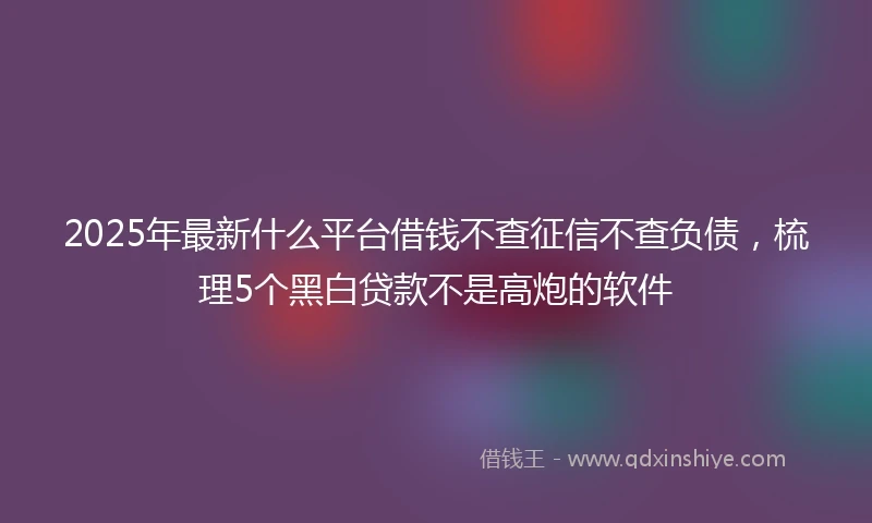 2025年最新什么平台借钱不查征信不查负债，梳理5个黑白贷款不是高炮的软件