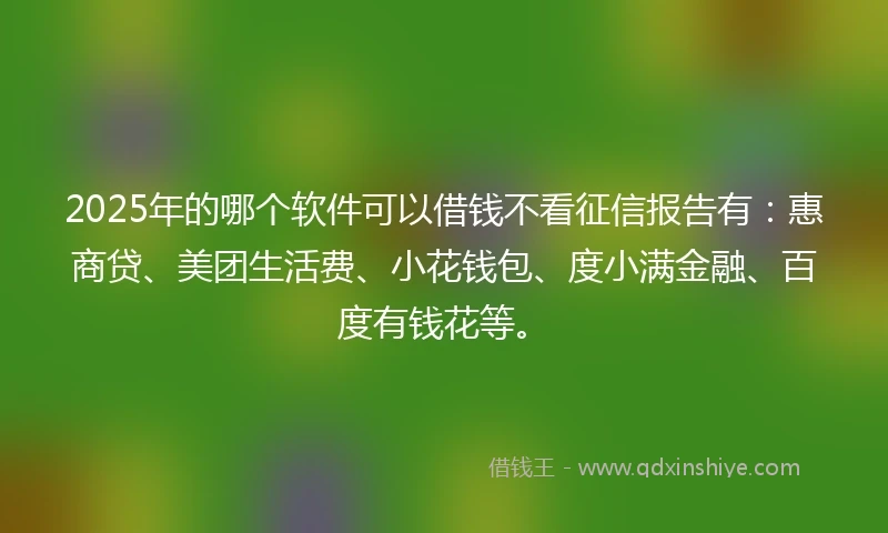 2025年的哪个软件可以借钱不看征信报告有：惠商贷、美团生活费、小花钱包、度小满金融、百度有钱花等。