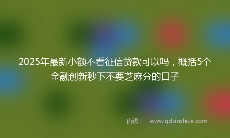 2025年最新小额不看征信贷款可以吗，概括5个金融创新秒下不要芝麻分的口子