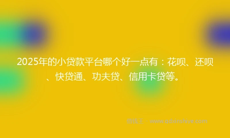 2025年的小贷款平台哪个好一点有：花呗、还呗、快贷通、功夫贷、信用卡贷等。