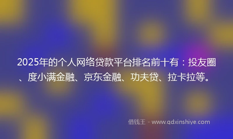 2025年的个人网络贷款平台排名前十有：投友圈、度小满金融、京东金融、功夫贷、拉卡拉等。