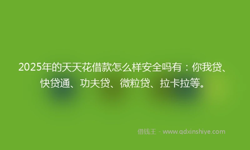 2025年的天天花借款怎么样安全吗有：你我贷、快贷通、功夫贷、微粒贷、拉卡拉等。