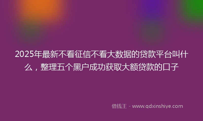2025年最新不看征信不看大数据的贷款平台叫什么，整理五个黑户成功获取大额贷款的口子