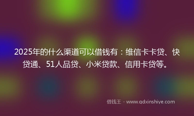 2025年的什么渠道可以借钱有：维信卡卡贷、快贷通、51人品贷、小米贷款、信用卡贷等。
