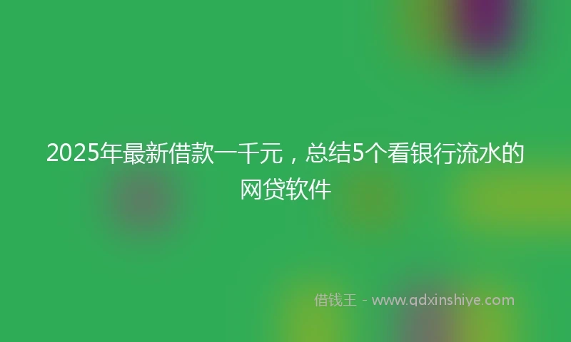 2025年最新借款一千元，总结5个看银行流水的网贷软件