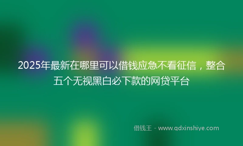 2025年最新在哪里可以借钱应急不看征信，整合五个无视黑白必下款的网贷平台