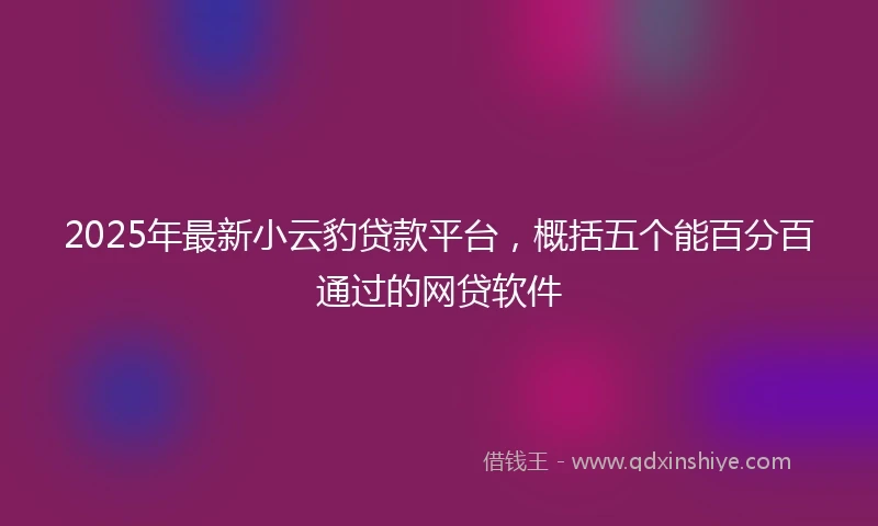 2025年最新小云豹贷款平台，概括五个能百分百通过的网贷软件