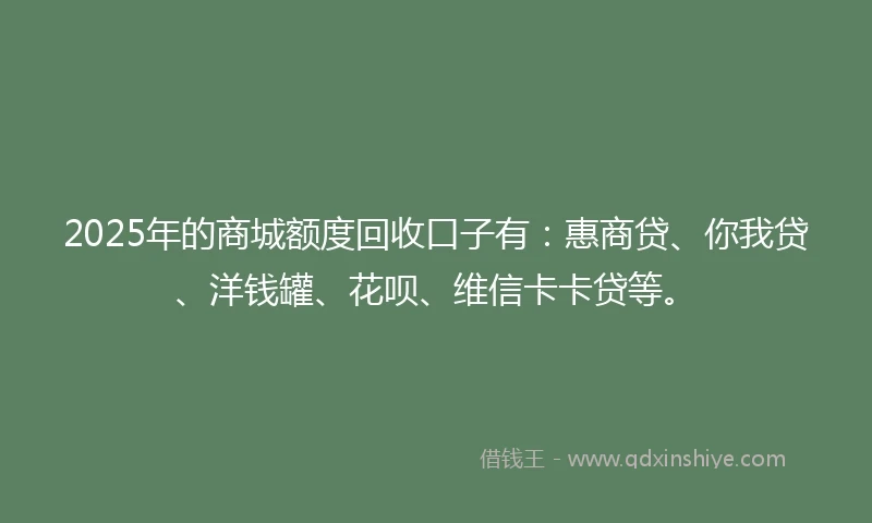 2025年的商城额度回收口子有：惠商贷、你我贷、洋钱罐、花呗、维信卡卡贷等。